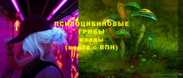 дурь Аркадак