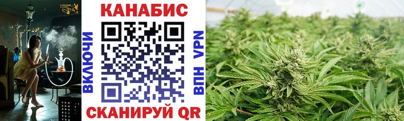 Купить где Сычёвка Марихуана семена